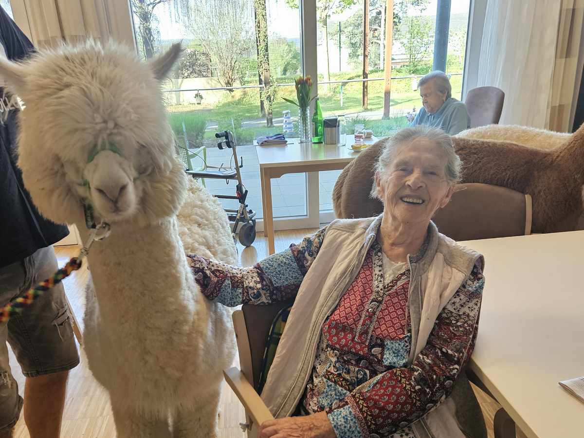 Tierischer Besuch Arbeiter Samariter Bund Österreichs