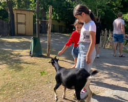 zwei Mädchen im Gehege eines Streichelzoos, schwarze Ziege