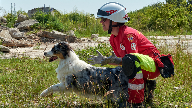 Hundeführerin mit Rettungshund auf Wiese