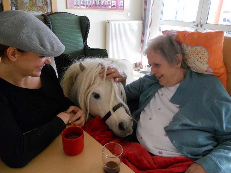 Therapiepony zu Besuch im Pflegekompetenzzentrum Draßburg 