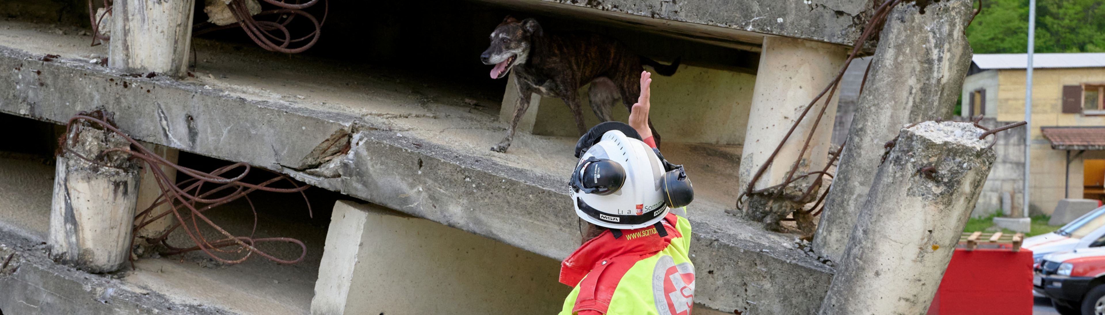 Hundeführerin gibt Rettungshund Zeichen für die Suche nach Verletzten