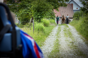 Island-Pferd Fia kommt auf den Wunschfahrt-Fahrgast zu